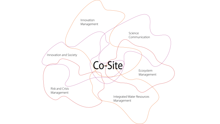 Research Disciplines in Co-Site
