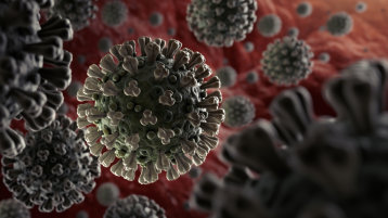 Mikroskopische Illustration des Corona-Virus (Image: fpm/istock.com)